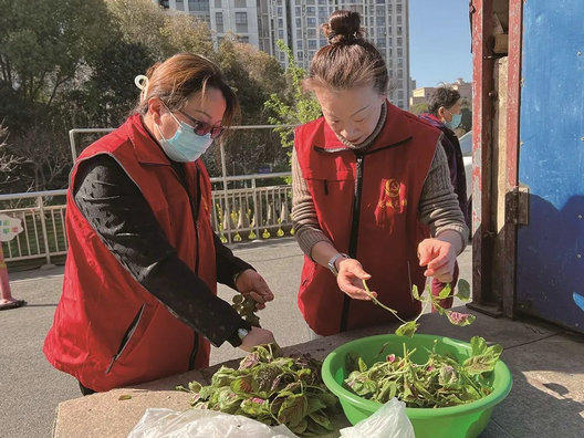 爱心来“敲门”，助老乐心头